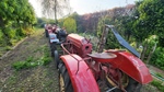 1965 Porsche Tractor oldtimer tractor te koop