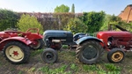 1965 Porsche Tractor oldtimer tractor te koop