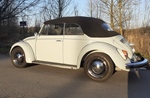 1969 Volkswagen Beetle (Kever) Karmann Cabriolet oldtimer te koop