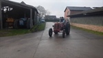 1954 David Brown 30D Diesel oldtimer tractor te koop