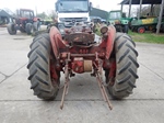 1959 David Brown 25 or P25, Petrol or TVO oldtimer tractor te koop