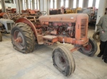 1953 David Brown 50D oldtimer tractor te koop