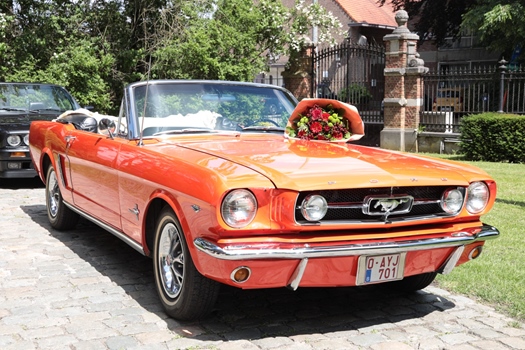 1965 Ford Mustang V8 oldtimer te koop