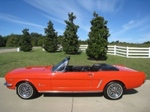 1965 Ford Mustang V8 oldtimer te koop