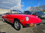 1979 Alfa Romeo Spider 2000 Veloce Tronca oldtimer te koop